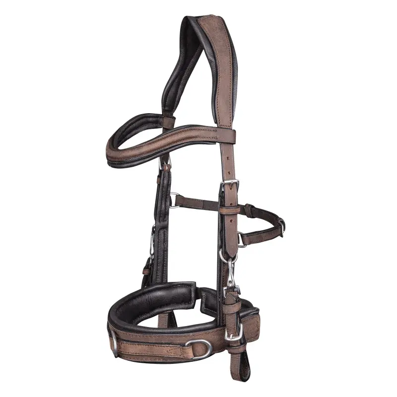 Waldhausen GmbH Waldhausen Kappzaum Anatomic braun WB (Warmblut) - Image 3