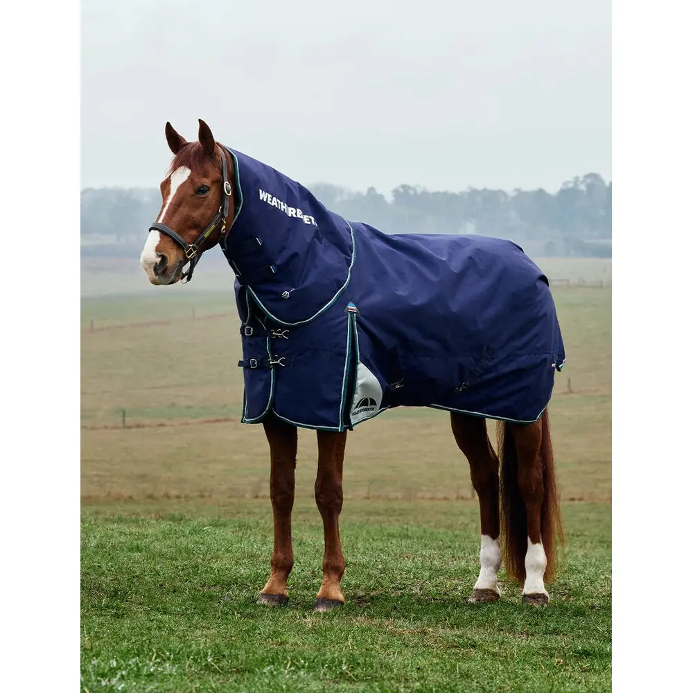 Removable neck outdoor horse rug Weatherbeeta Comfitec Plus Dynamic 100g