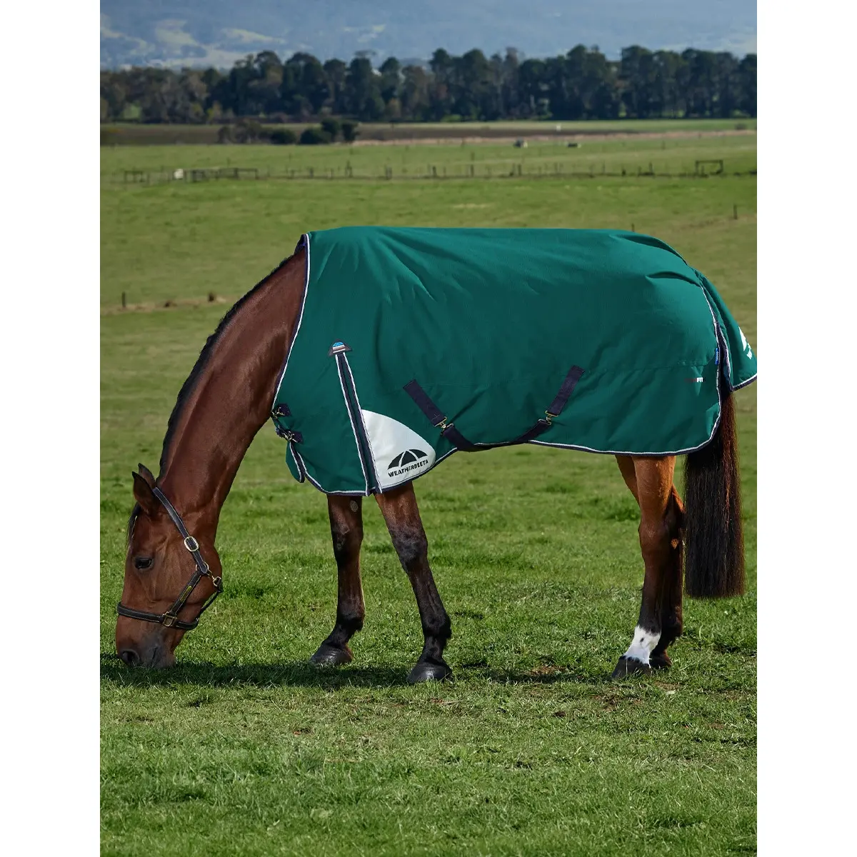 Outdoor Blanket Weatherbeeta Comfitec Plus Dynamic 220g