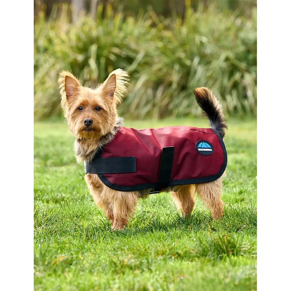 Cappotto per cani impermeabile Weatherbeeta Comfitec Classic