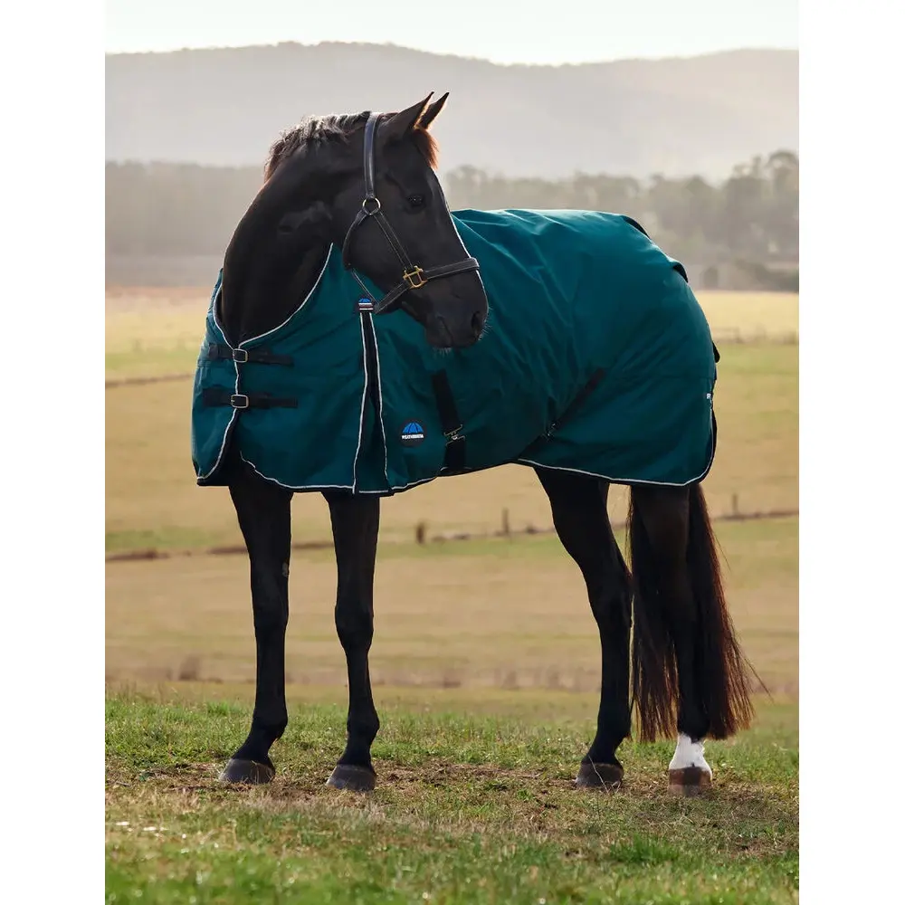 Outdoor  Blanket Weatherbeeta ComFiTec Classic Turnout 50g