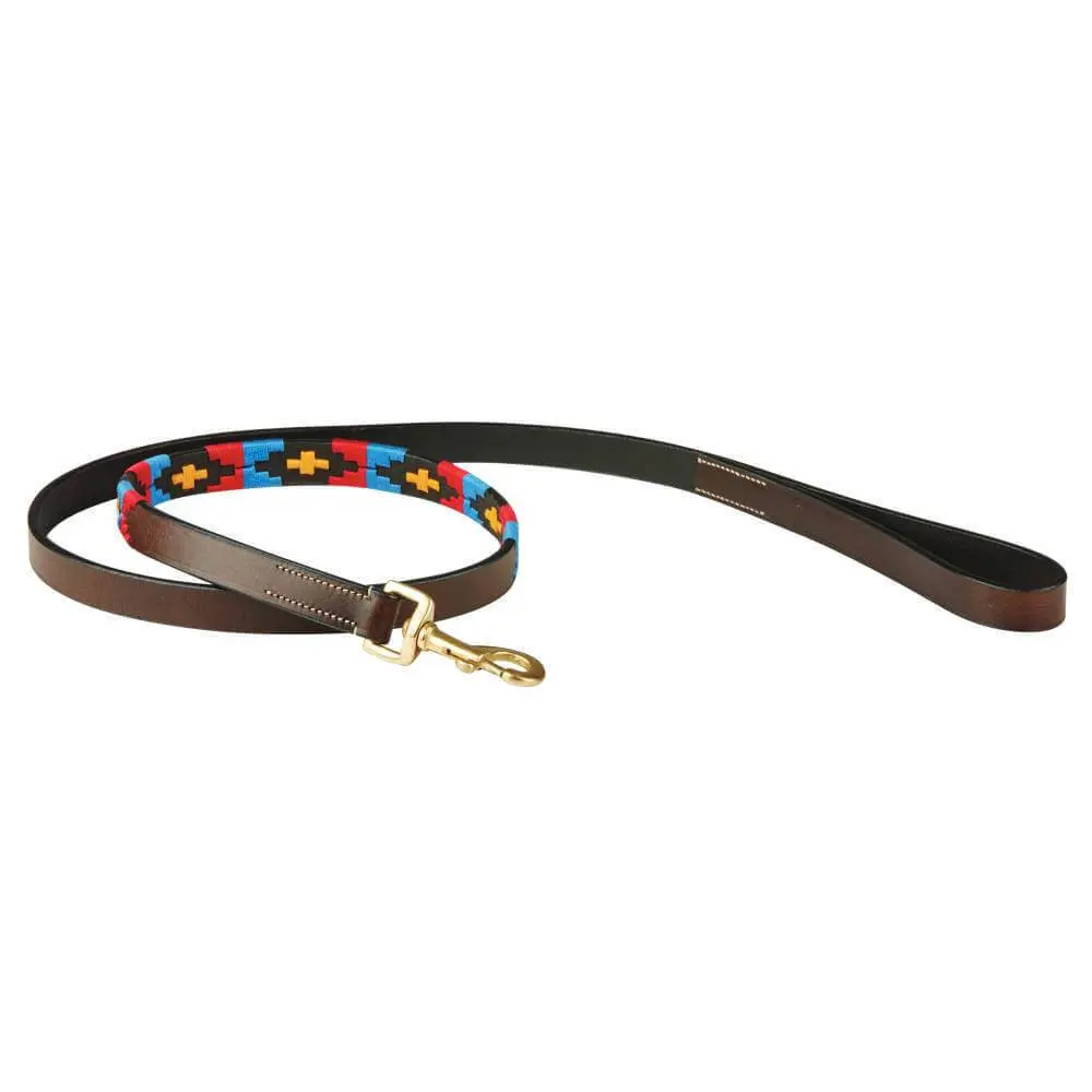Guinzaglio in pelle per cani Weatherbeeta Polo