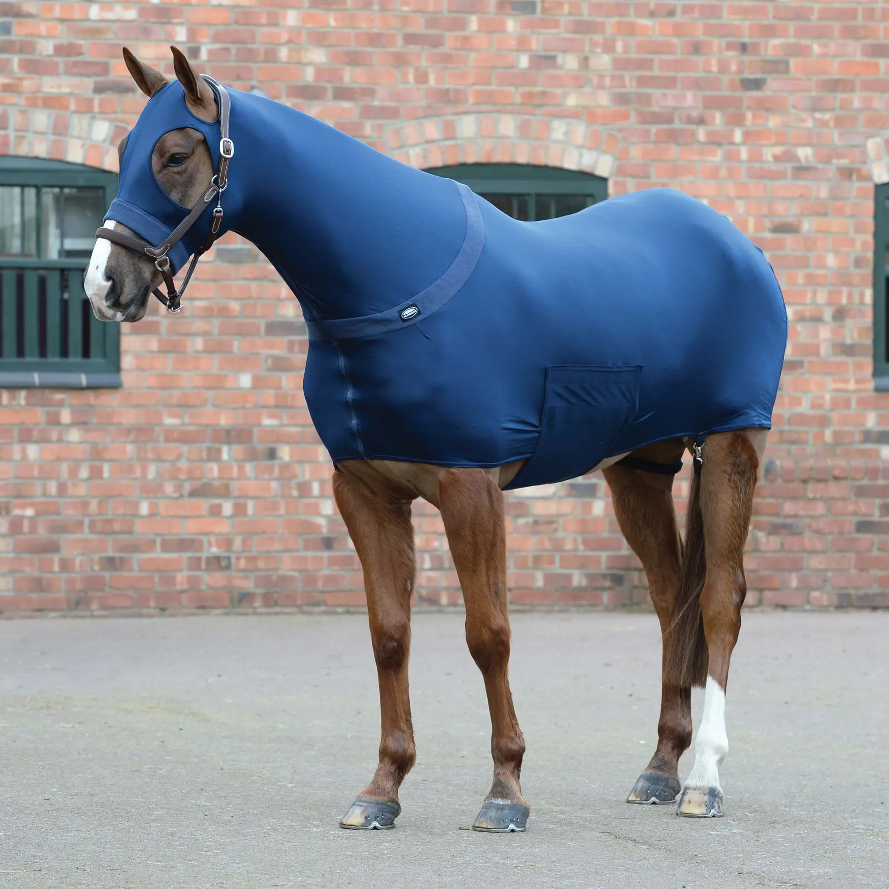 Coperta per cavalli elasticizzata Weatherbeeta