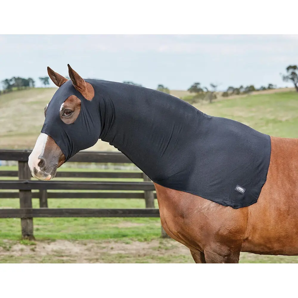 Stretchy outdoor horse blanket Weatherbeeta