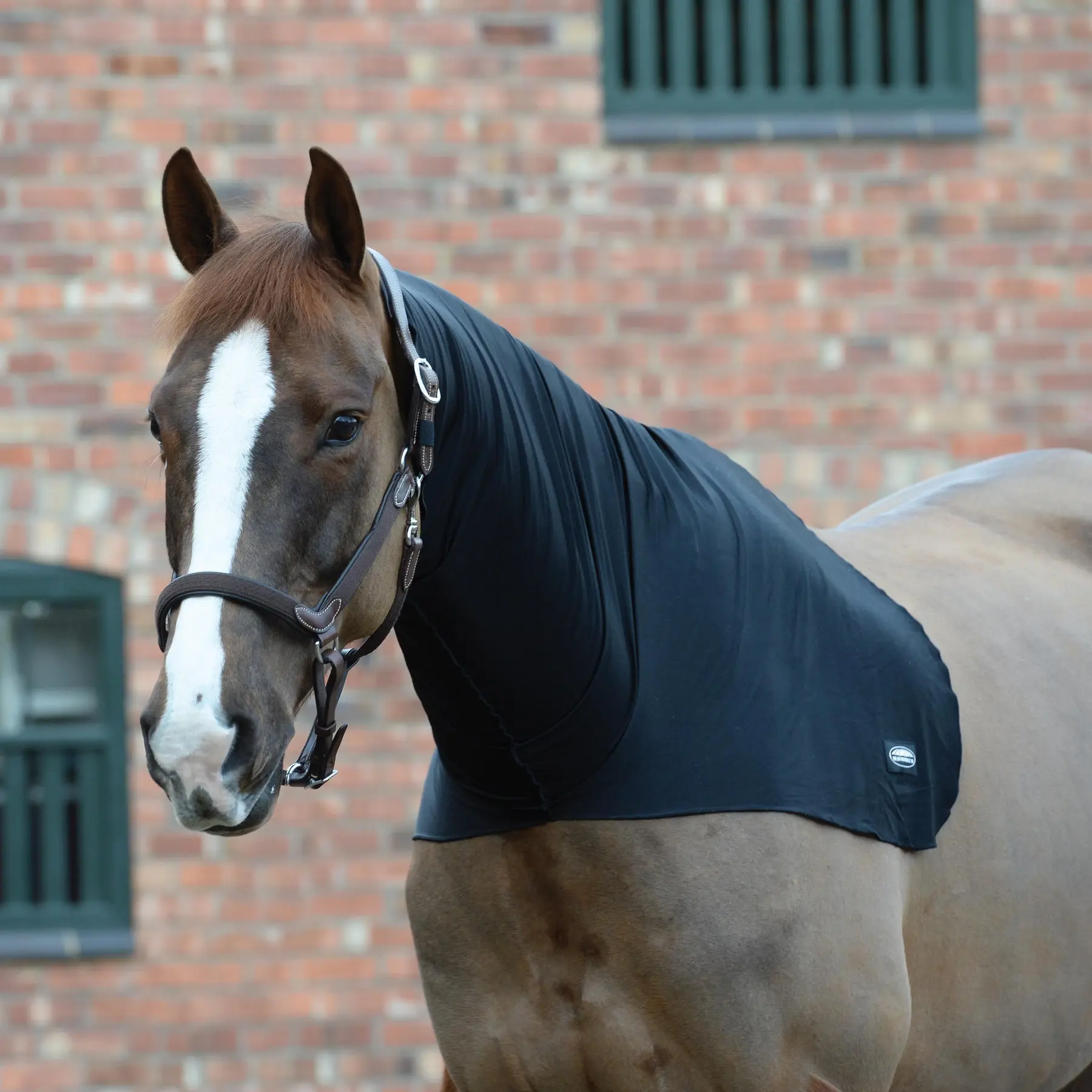 Stretch neck cover Weatherbeeta