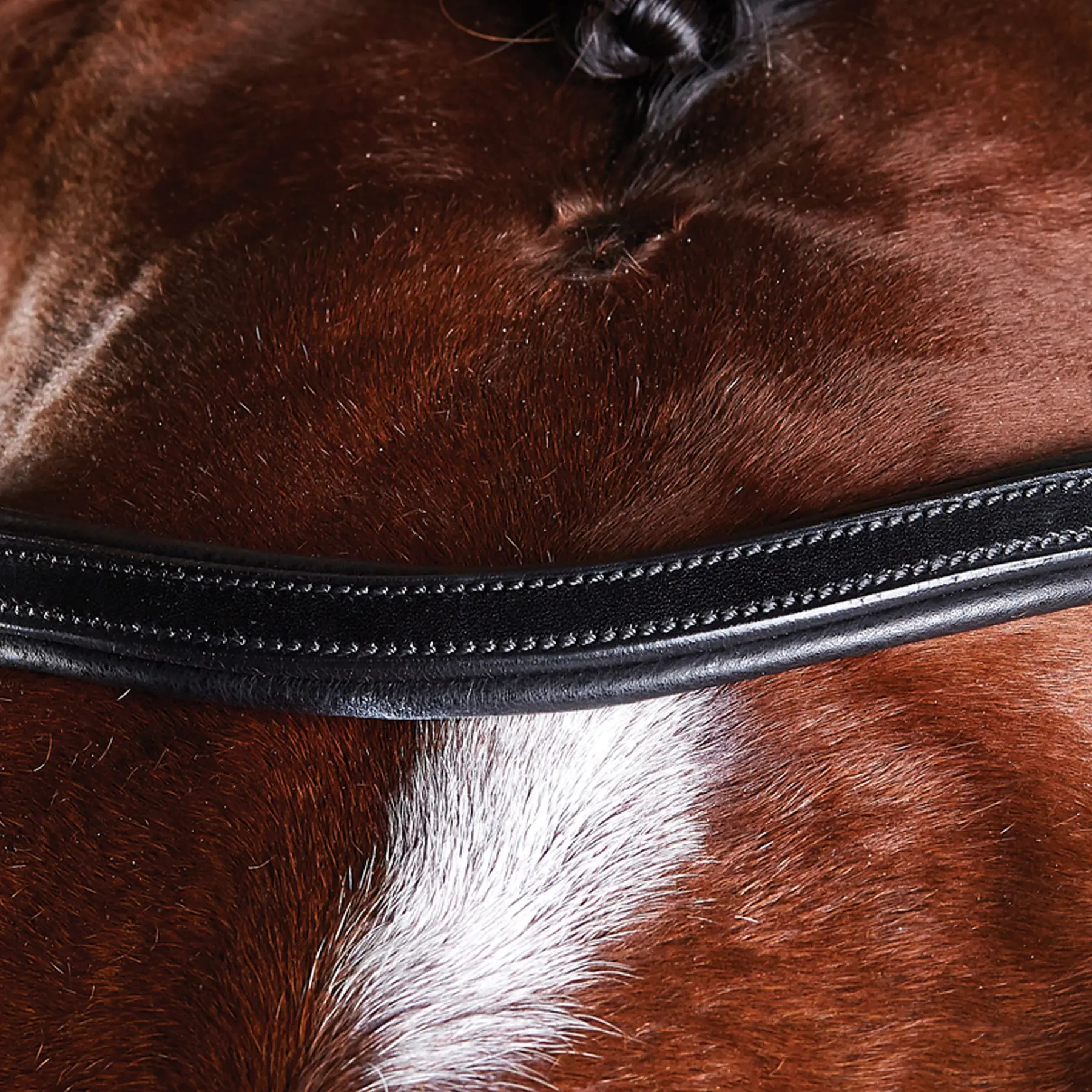 Horse training bridles Weatherbeeta Collegiate Comfitec