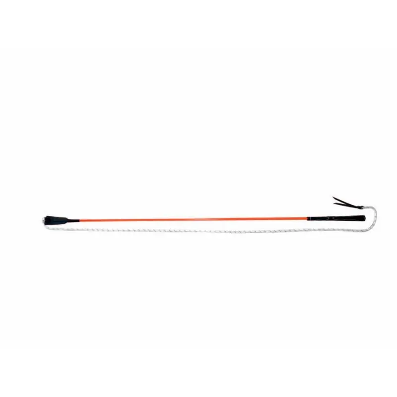 Frustino da equitazione Whip & Go éthologique