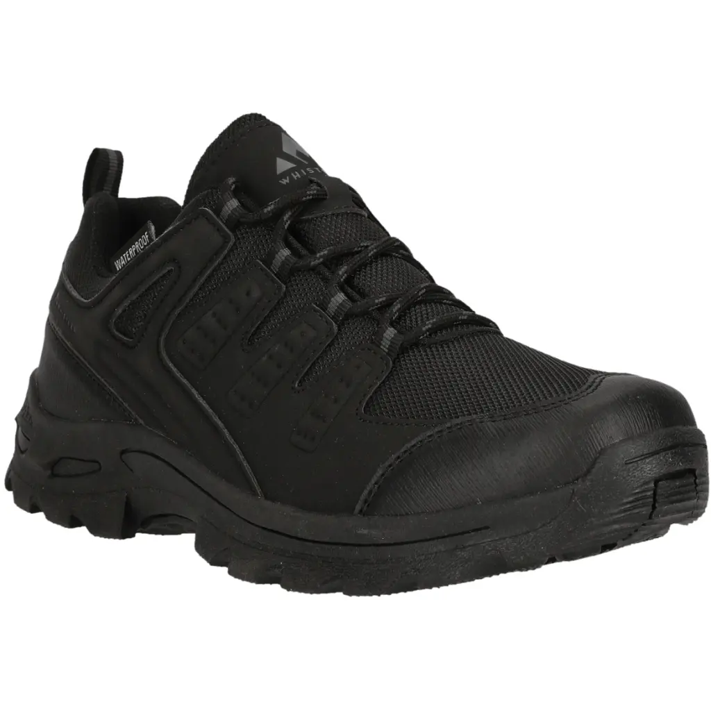 Hiking shoes Whistler Pinacle