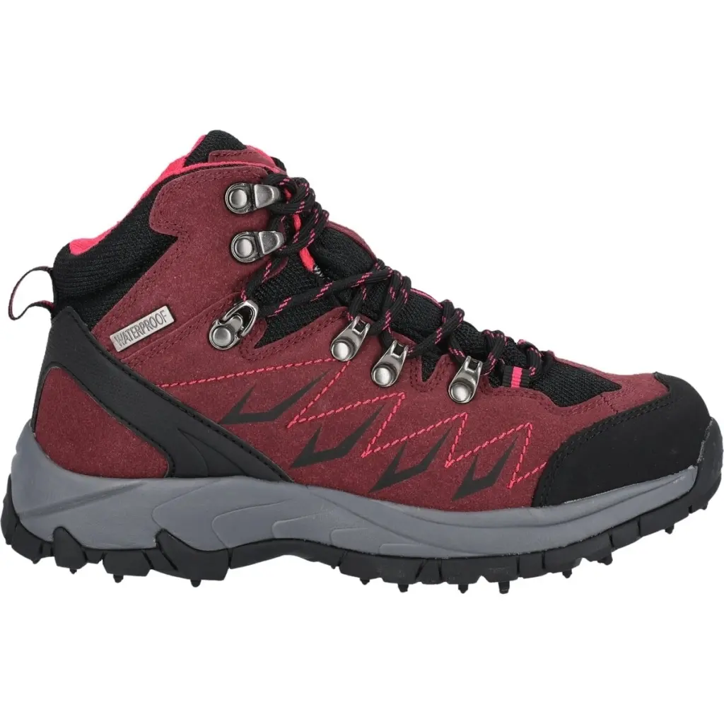 Dameswandelschoenen Whistler Contai