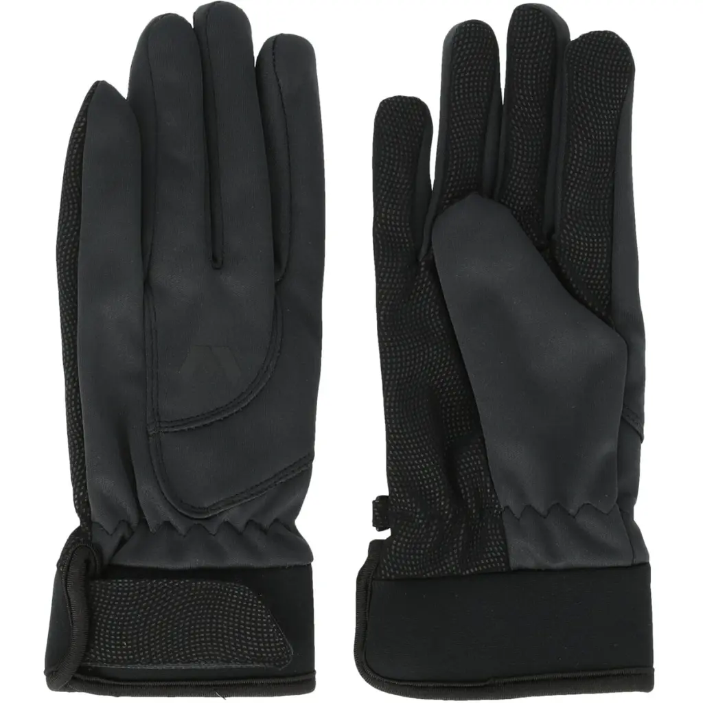 Handschoenen Whistler Telun