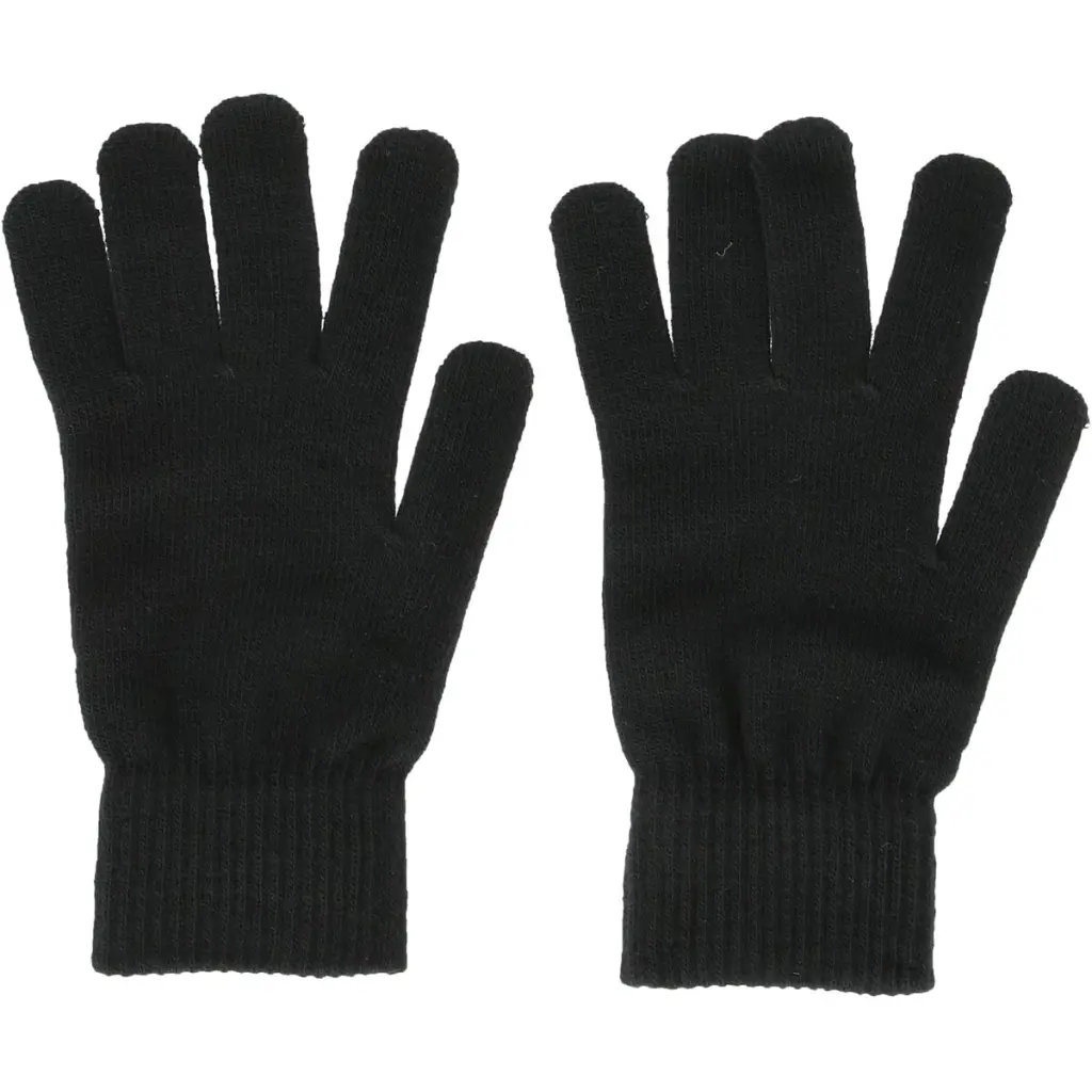 Gloves Whistler Matti (x2)
