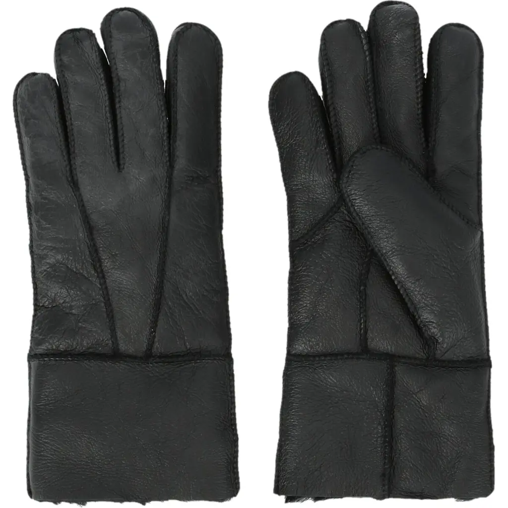 Handschuhe Whistler Virging