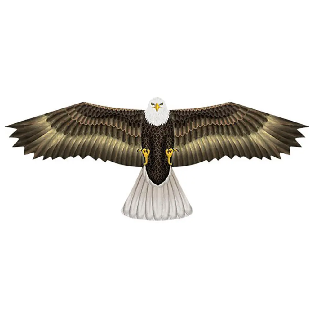 Drachen WindNSun Wind N Sun Eagle