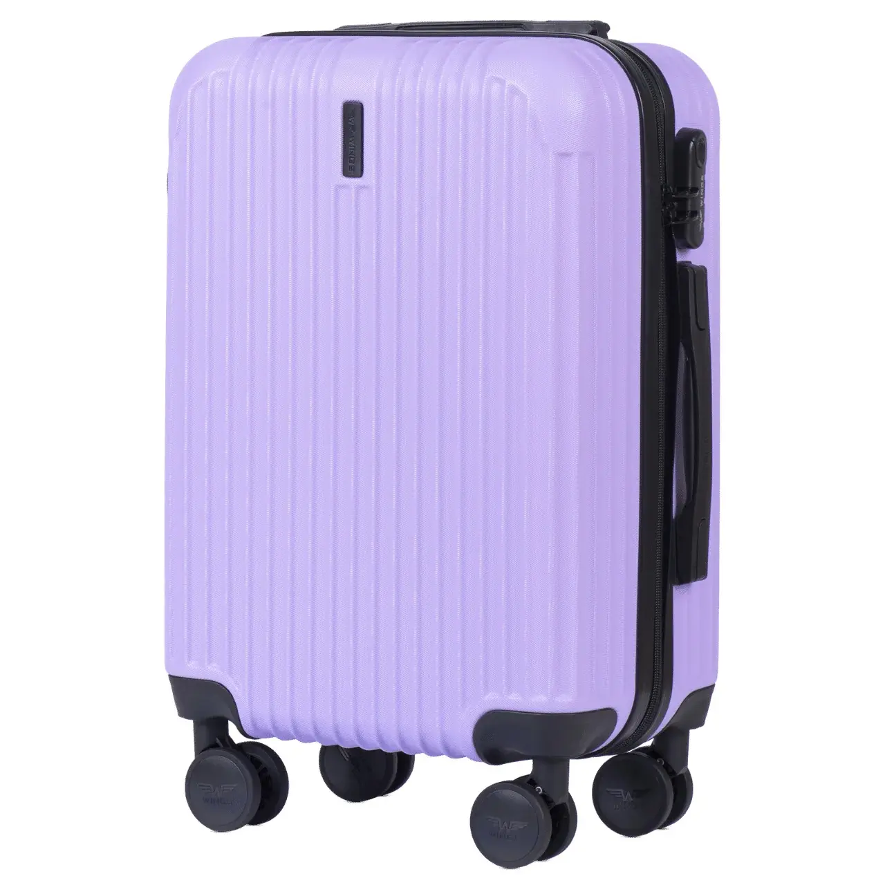 Valigia da cabina Wings Egret 20"