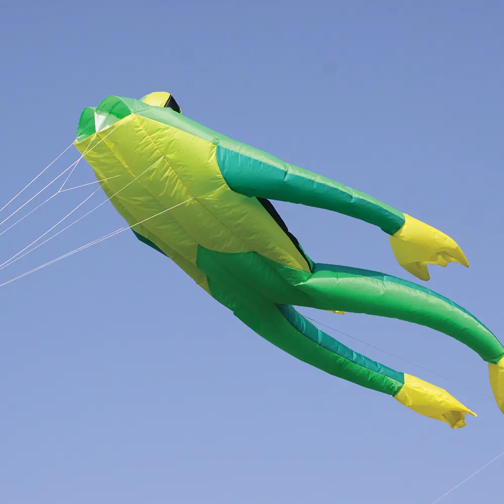 Drachen Wolkenstürmer Fritz The Frog Grand