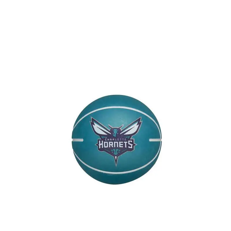 Palla che rimbalza nba dribbling Charlotte Hornets