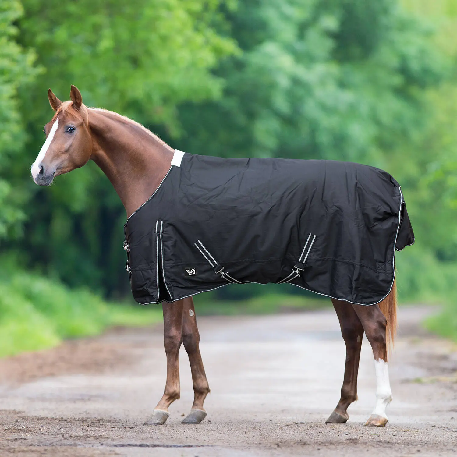 Outdoor  Blanket York Bergen 300 g