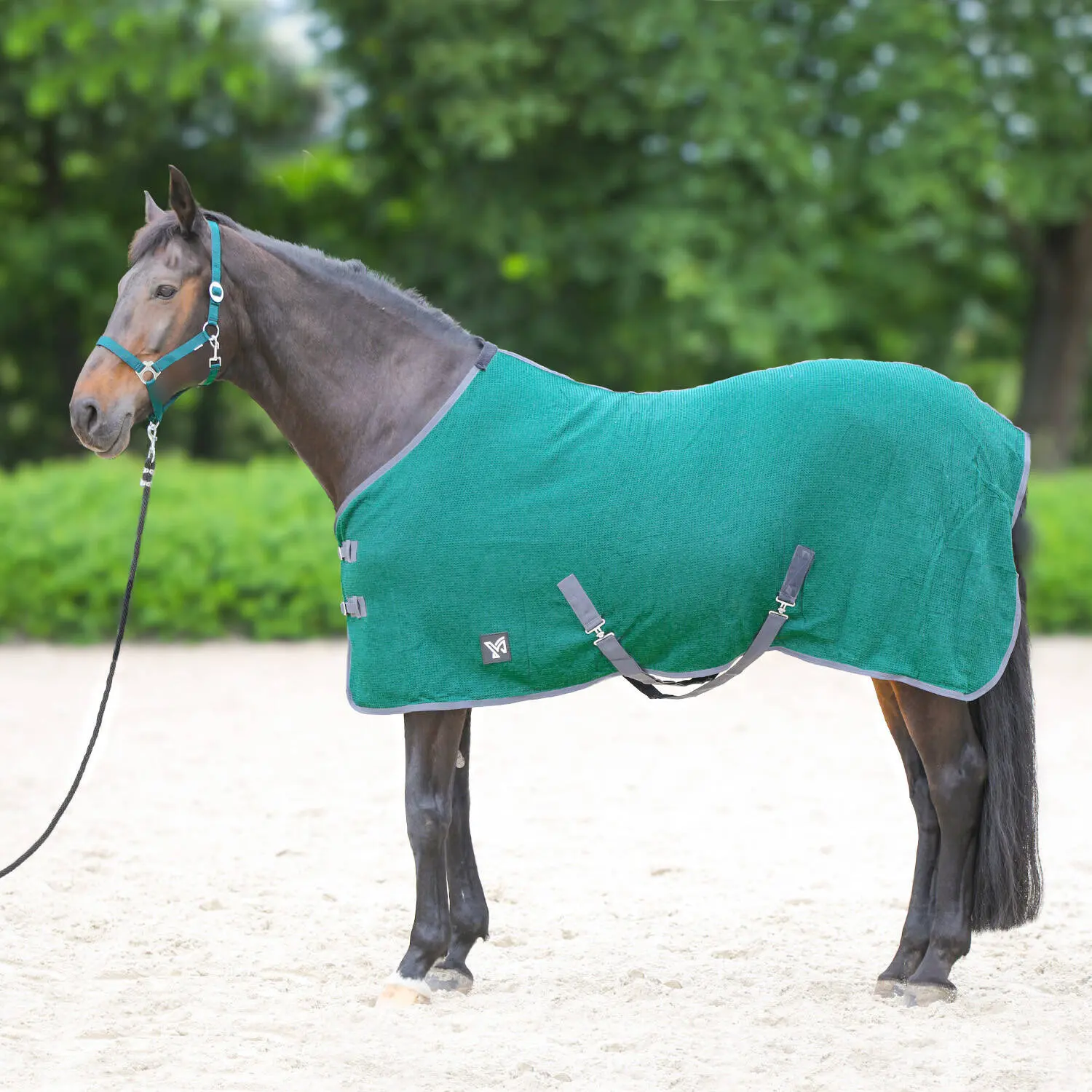 Stable Blanket York Santi