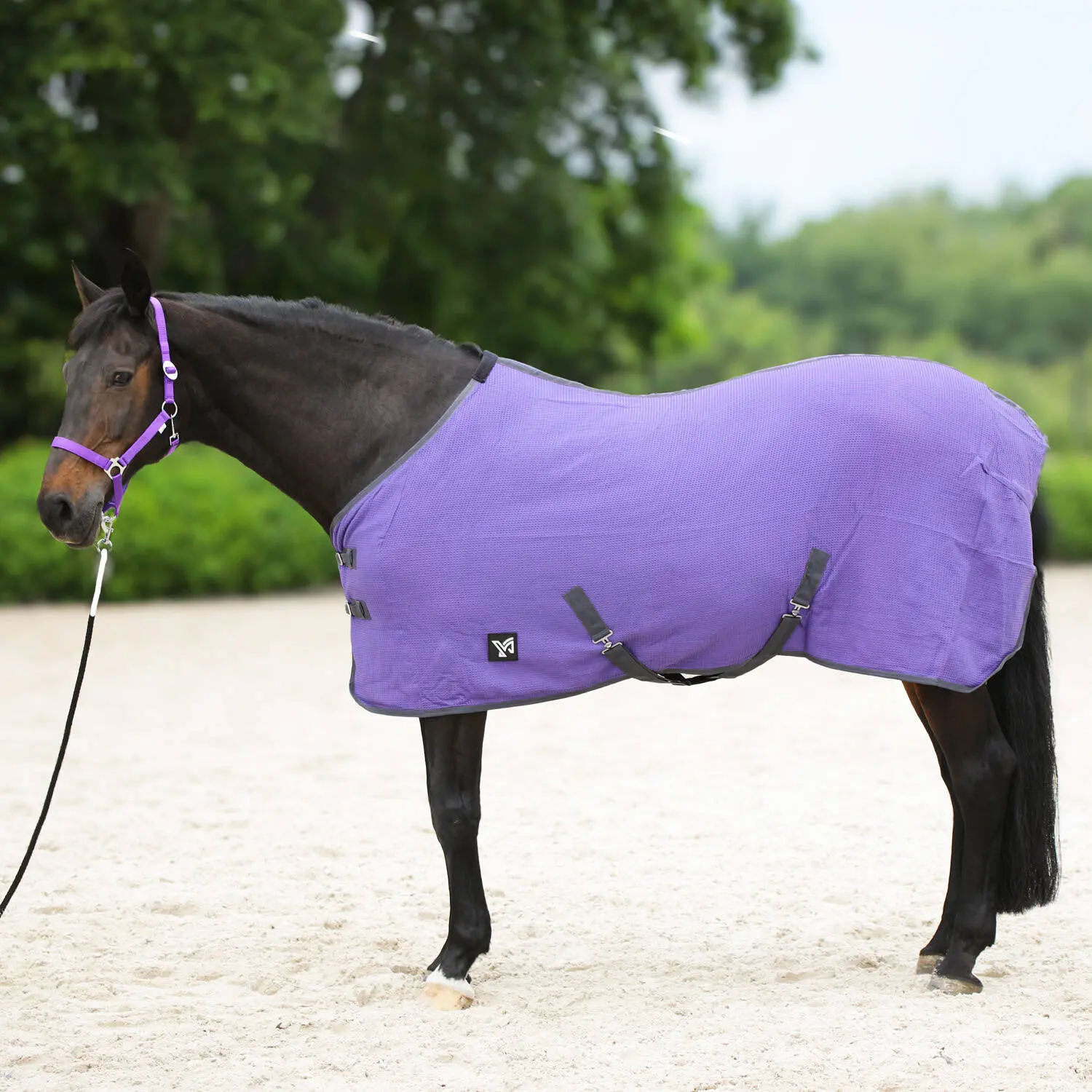 Stable Blanket York Santi