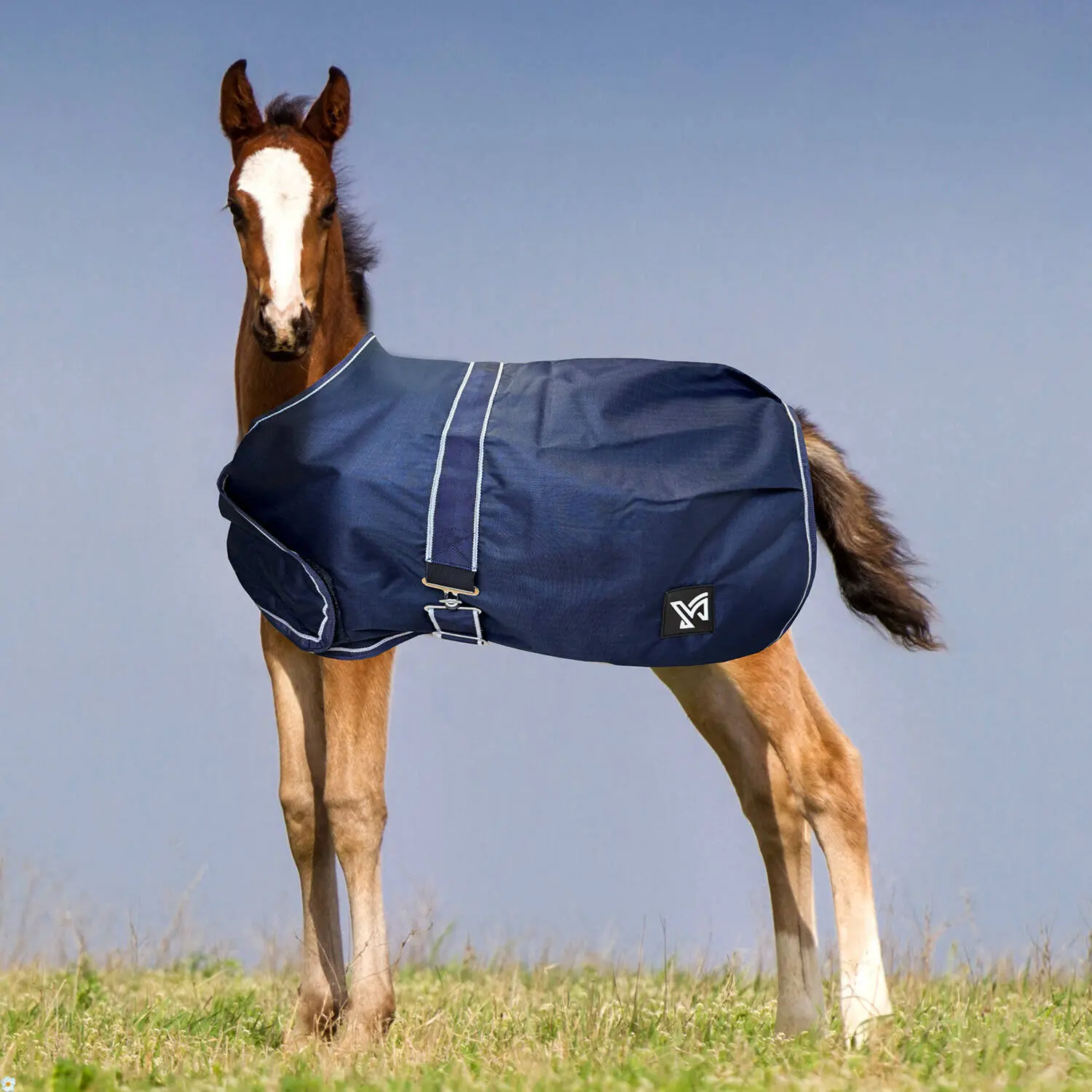 Outdoor-Decke für Pferde York Foal 100 g