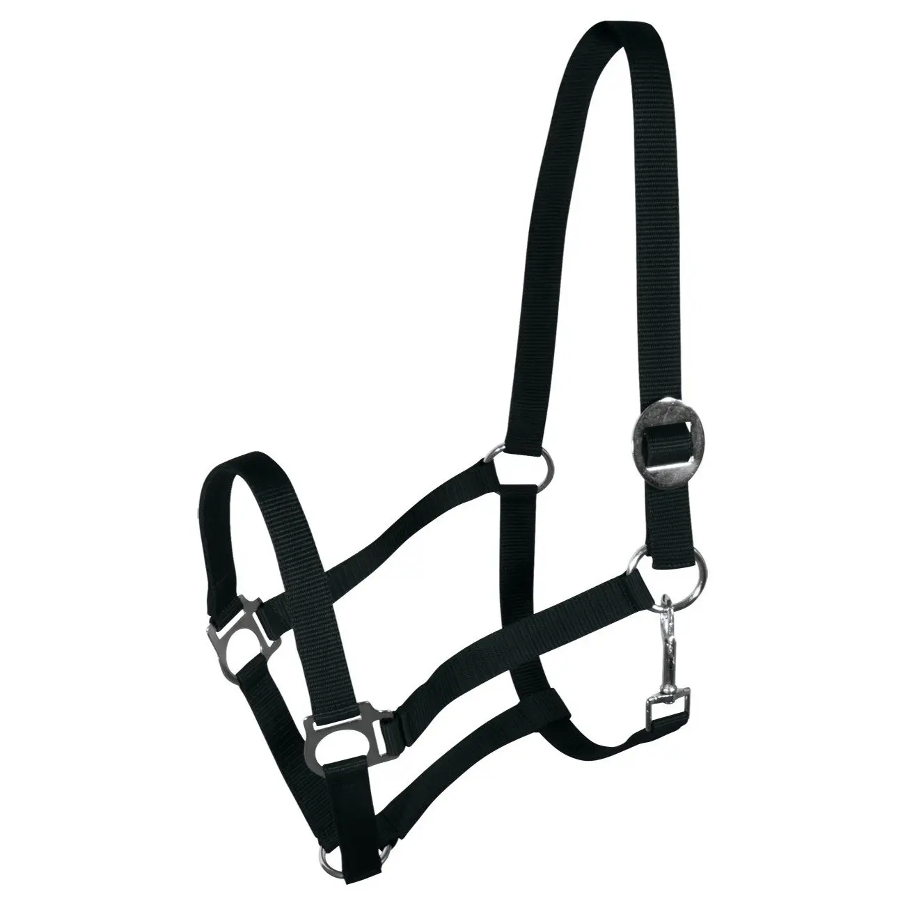Halter for horse York Harmony