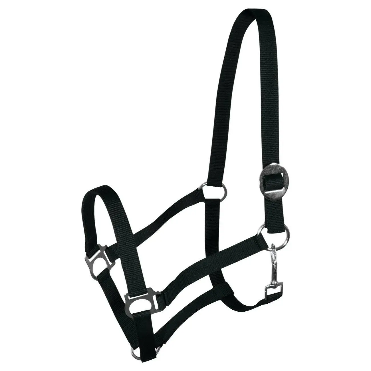 Halter for horse York Harmony