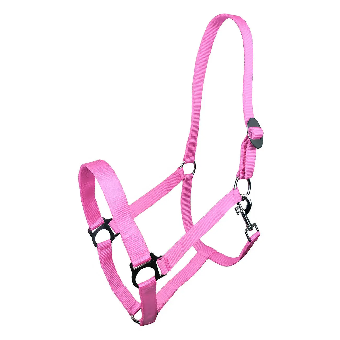 Halter for horse York Harmony