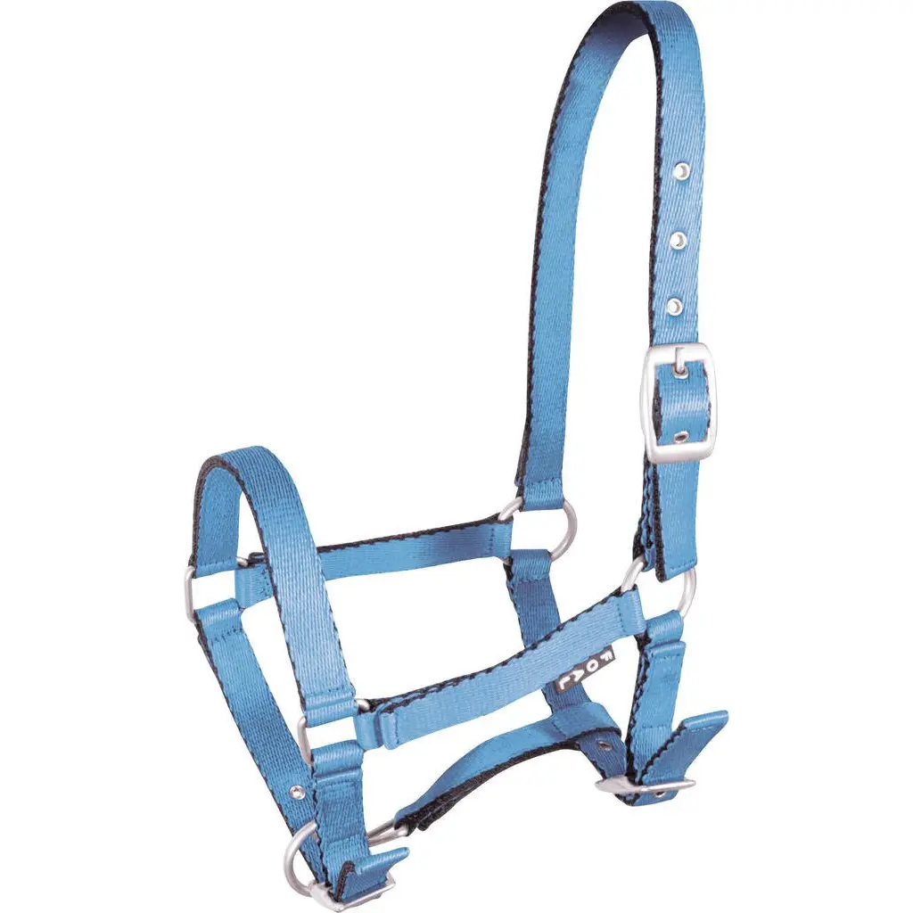 Halter for horse York Tobi