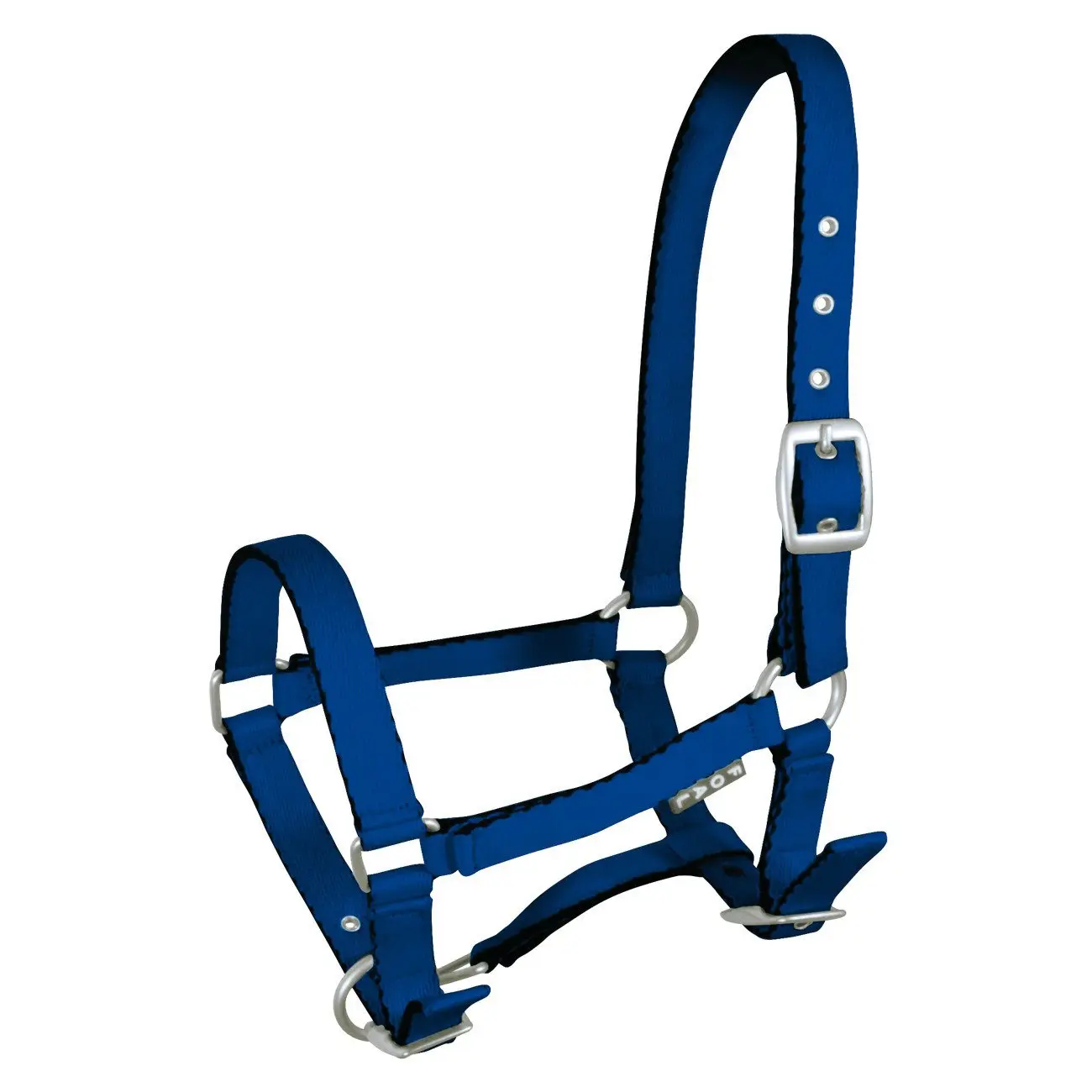 Halter for horse York Tobi