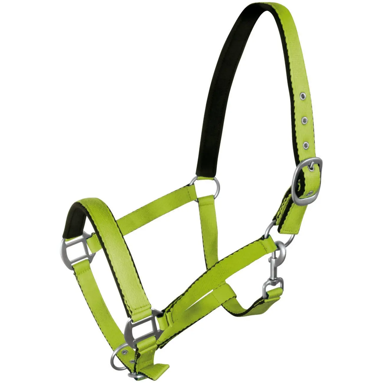 Halter for horse York
