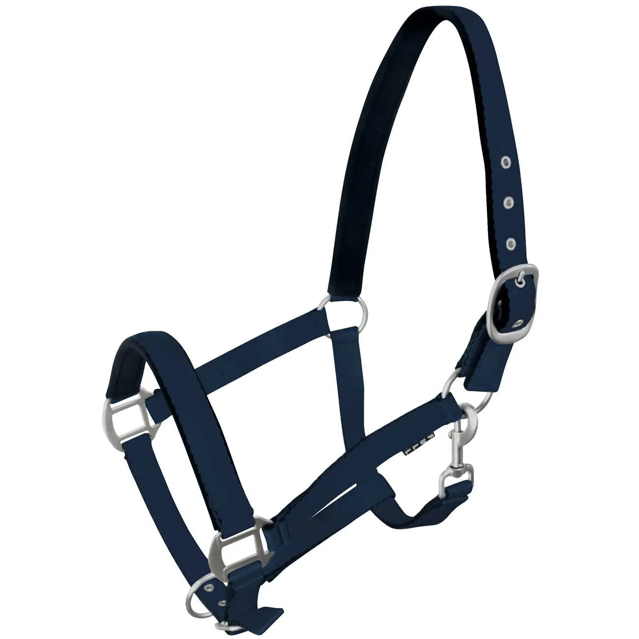 Halter for horse York