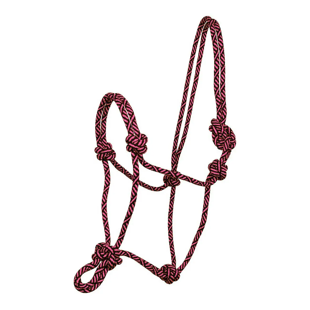 Halsband für Pferd mit Schnüren York Kantar