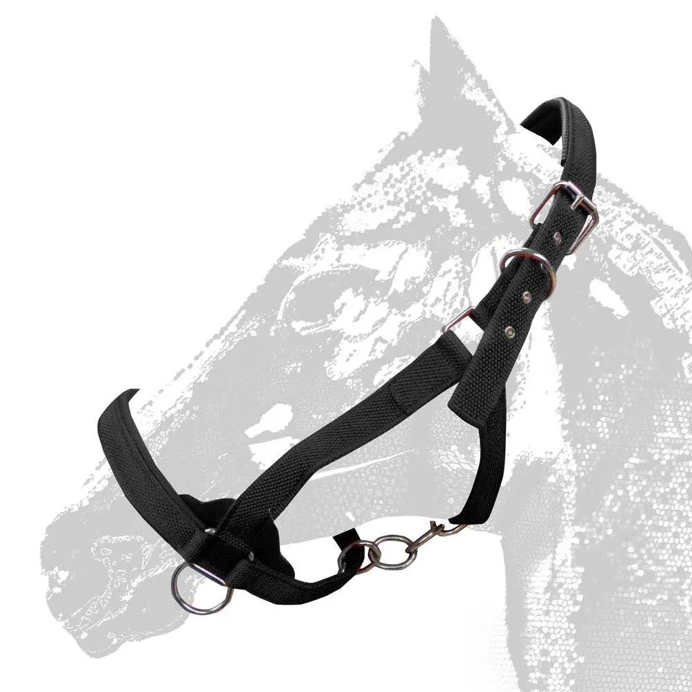 Bridles for horses Zaldi 290