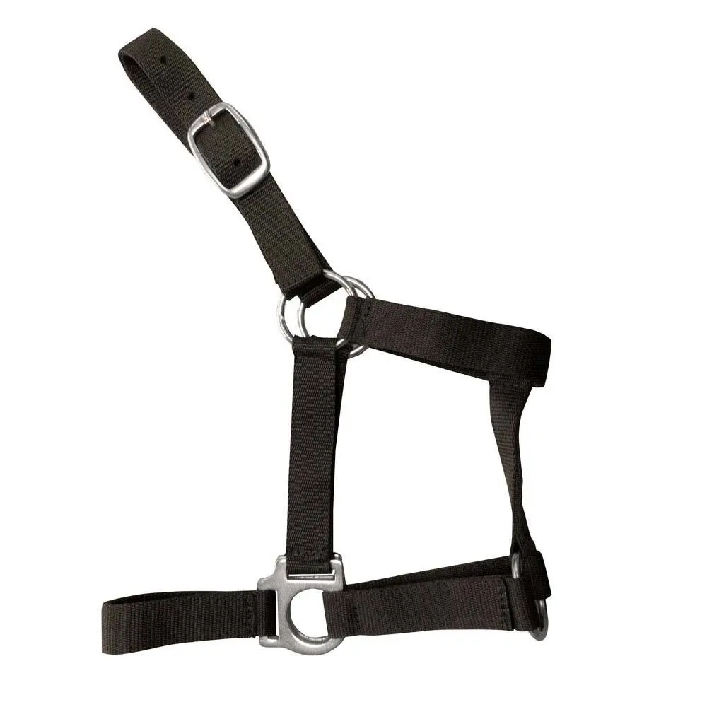Bridles for horses Zaldi O278