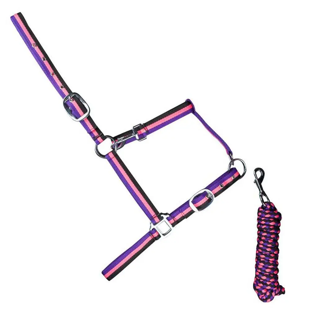 Bridles for horses Zaldi 6886