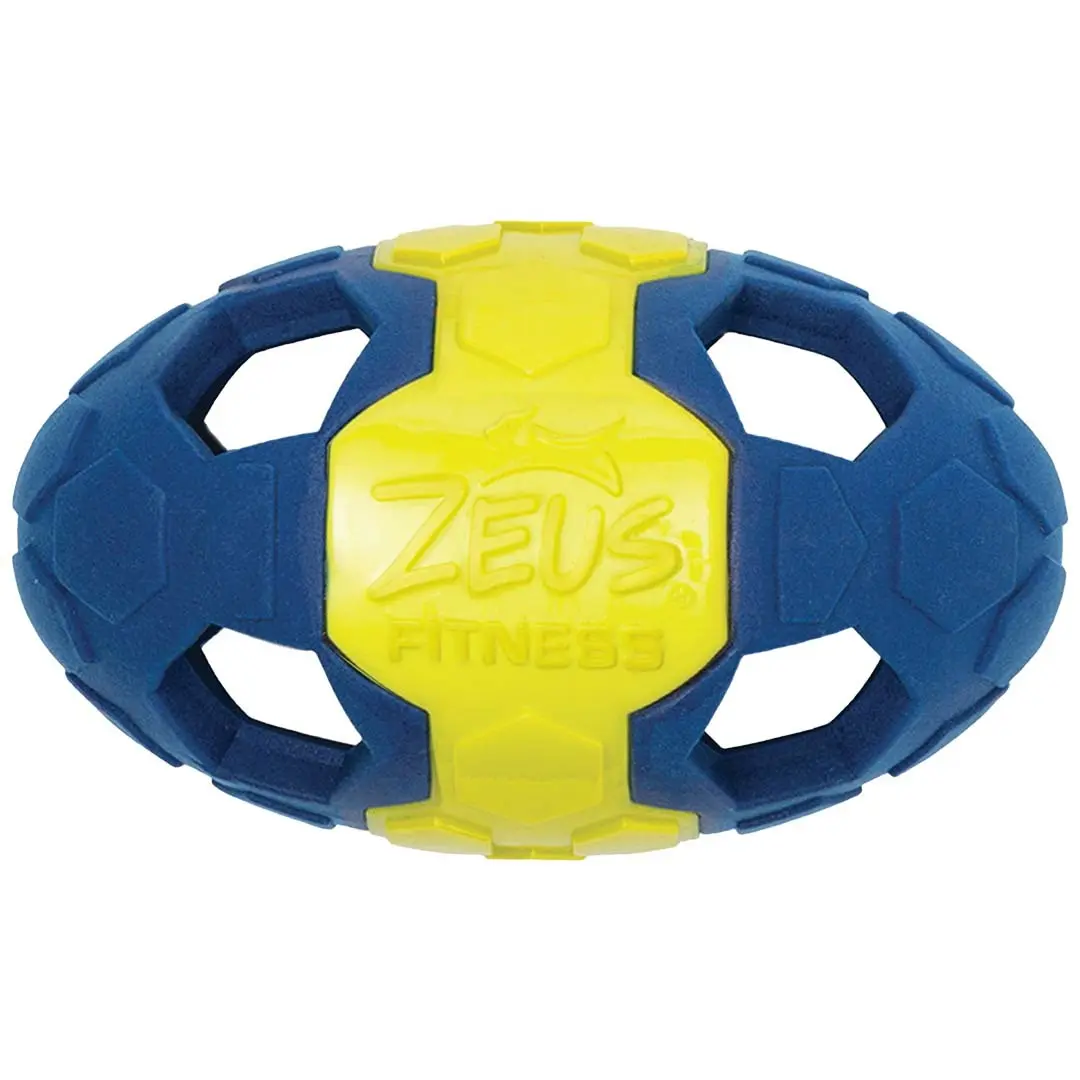 Balle pour chien Zeus Fitness Fetch