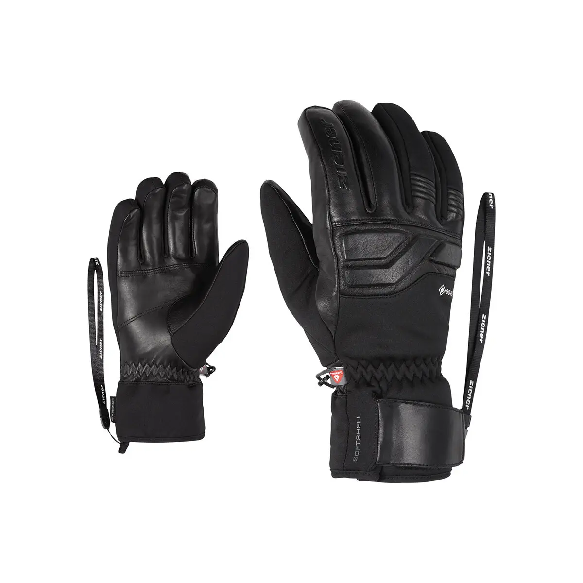 Alpine Skihandschuhe Ziener Gin GTX PR