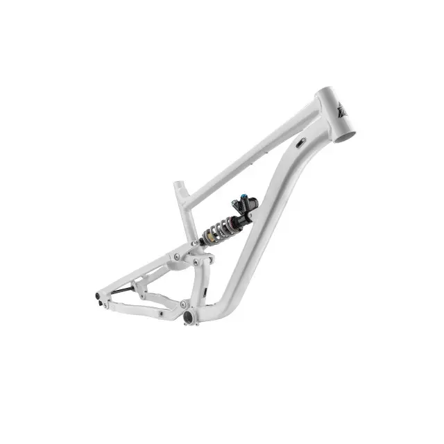 Frame Zink Bikes Vacay