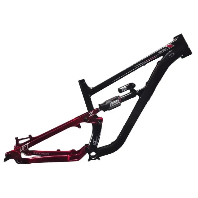 Frame Zink Bikes Vacay