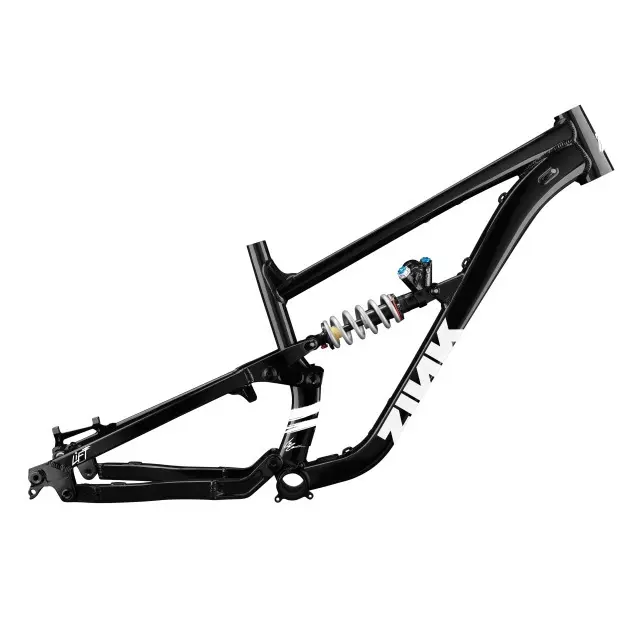 Frame Zink Bikes Vacay