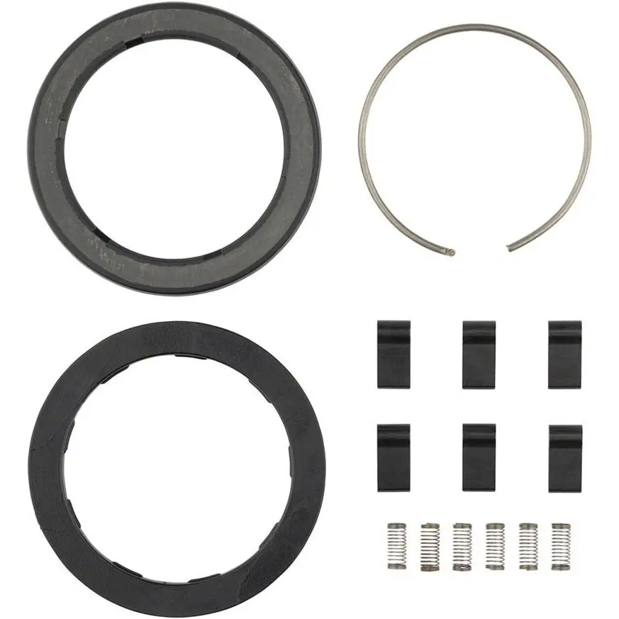 Ratschenkits/Feder für Nabe Zipp ZR1 (x6)