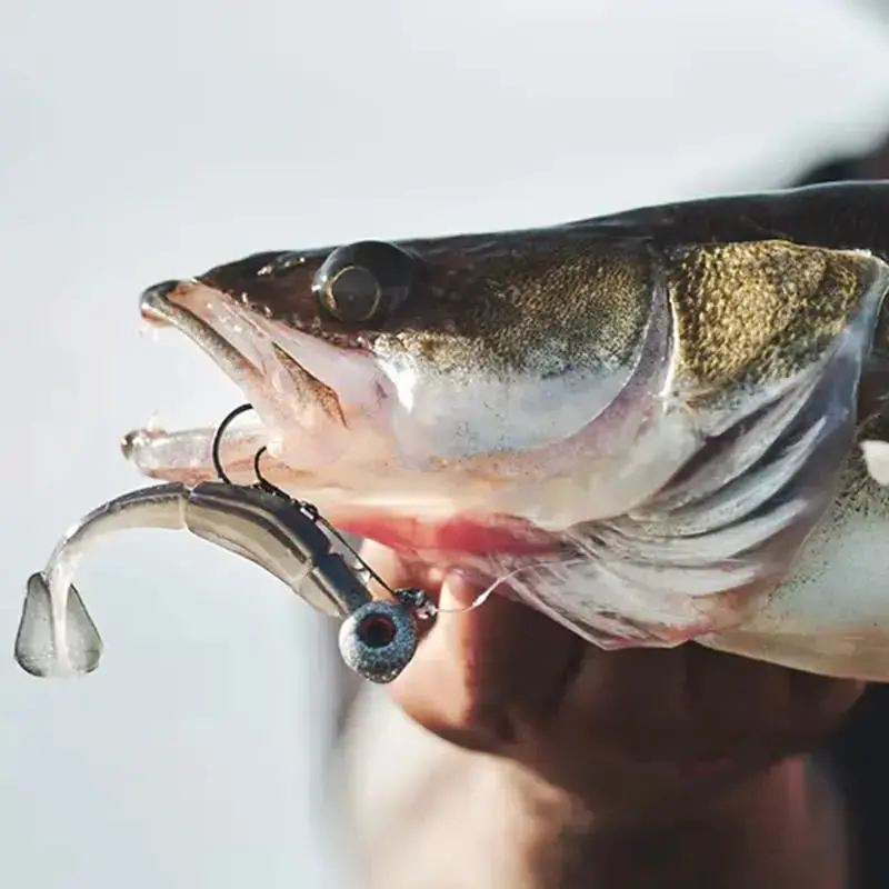 Soft Lures - Saltwater