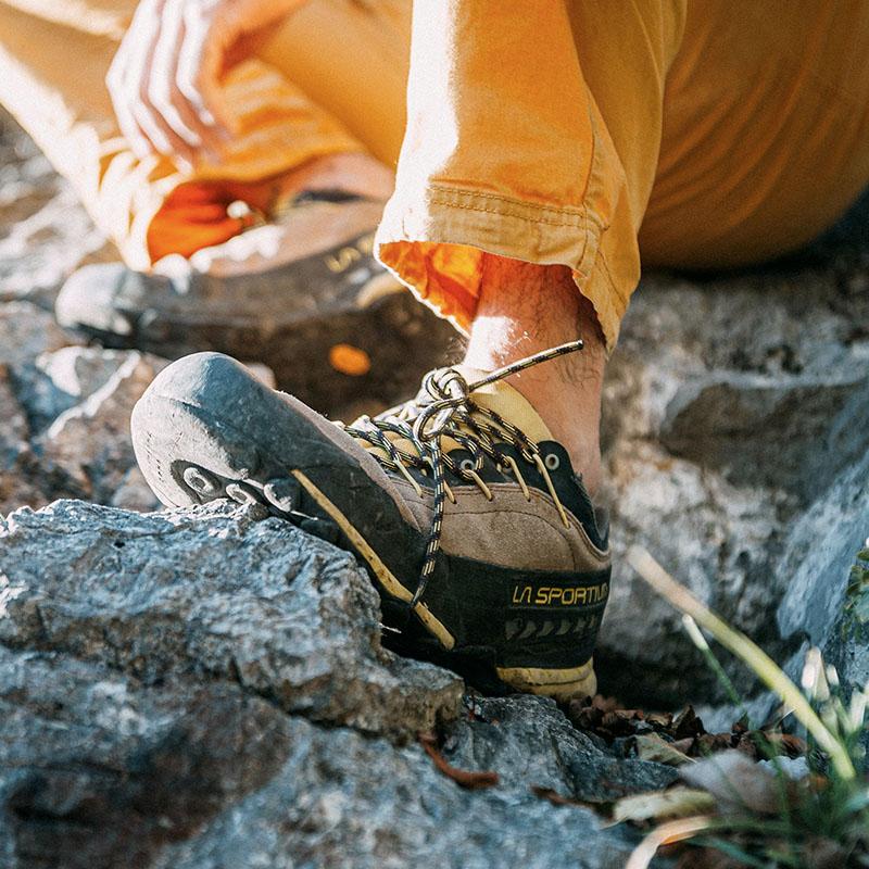 Hiking Shoes