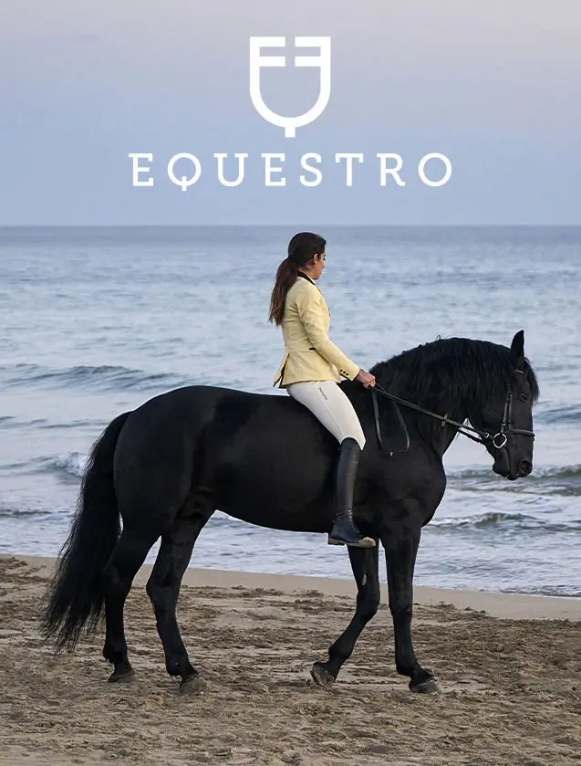 EQUESTRO