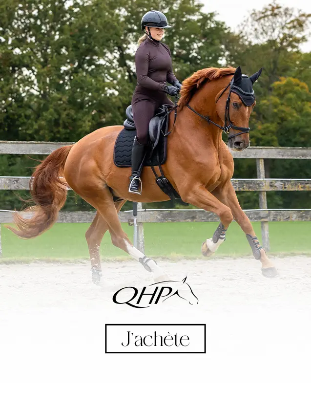 QHP trade