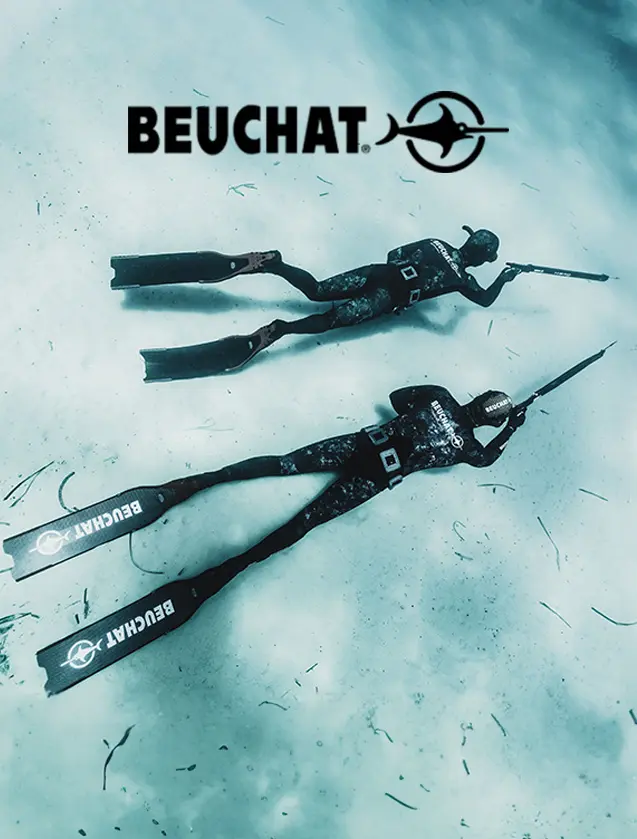 Beuchat