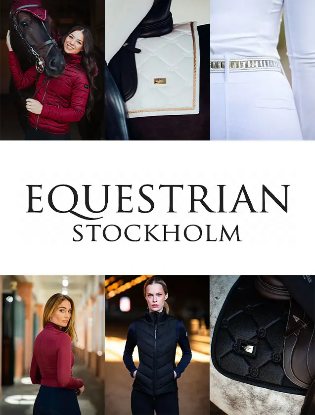 equestrian stockholm