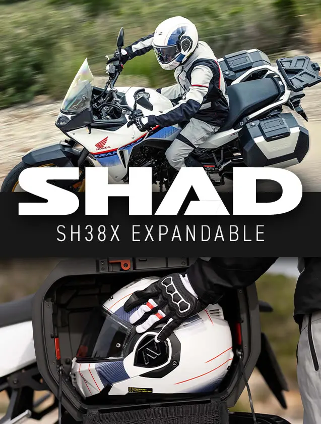 Shad