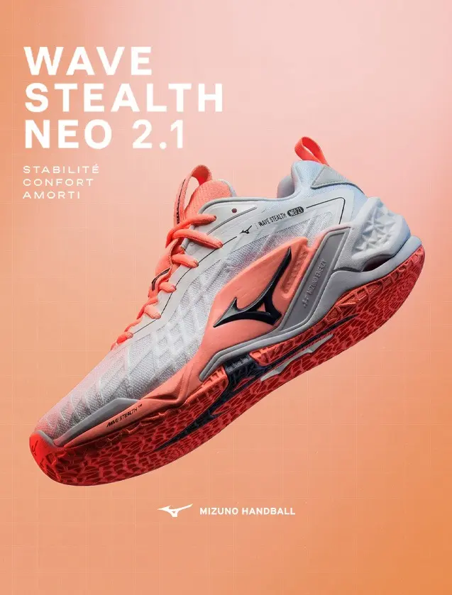 chaussures/mizuno