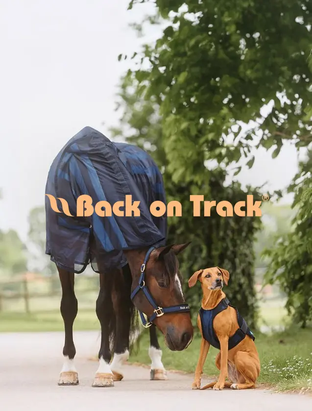 Back on Track 